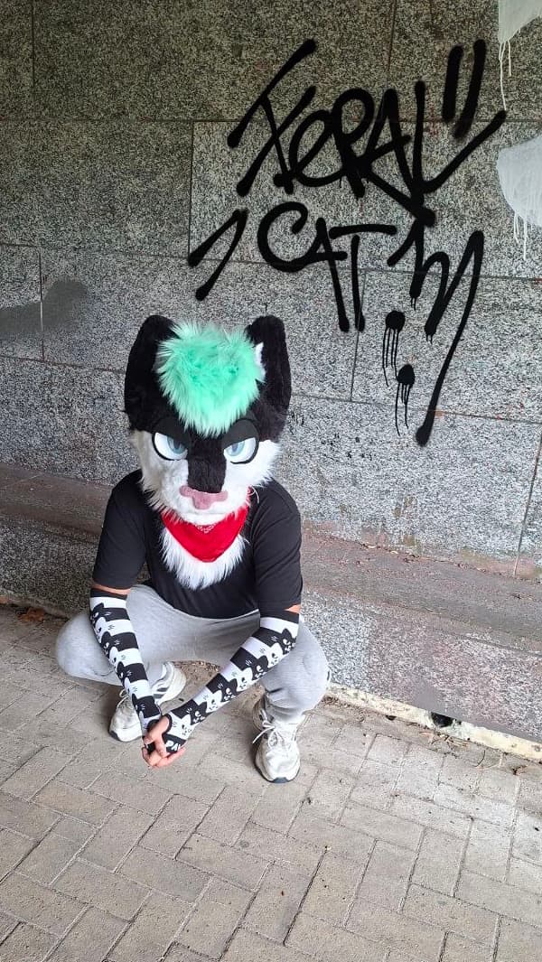 Cat fursuiter at an MK Critters meet