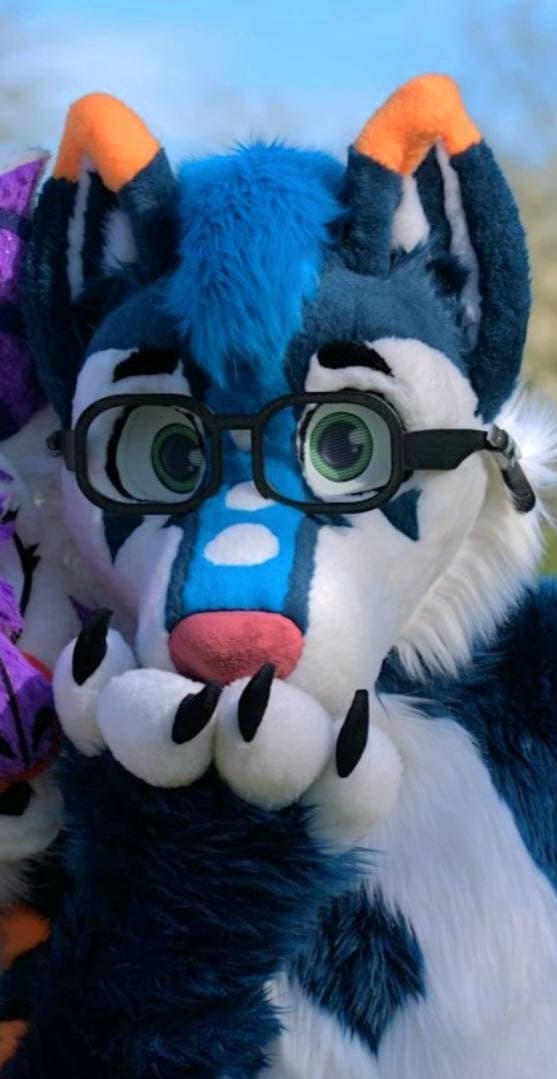 Purple canine fursuiter peeking out at an MK Critters meet