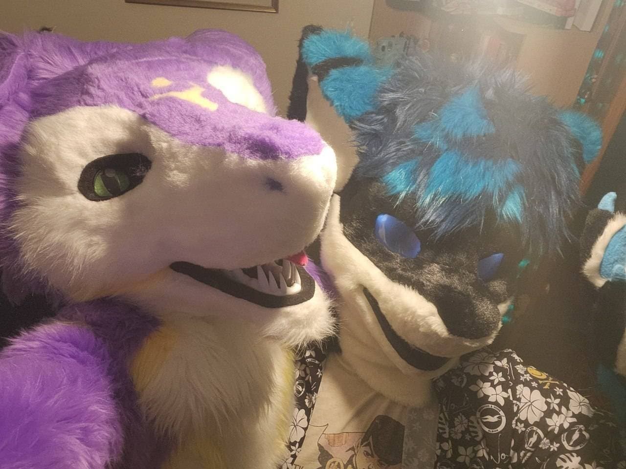 Purple sergal and blue shark fursuiters at an MK Critters meet