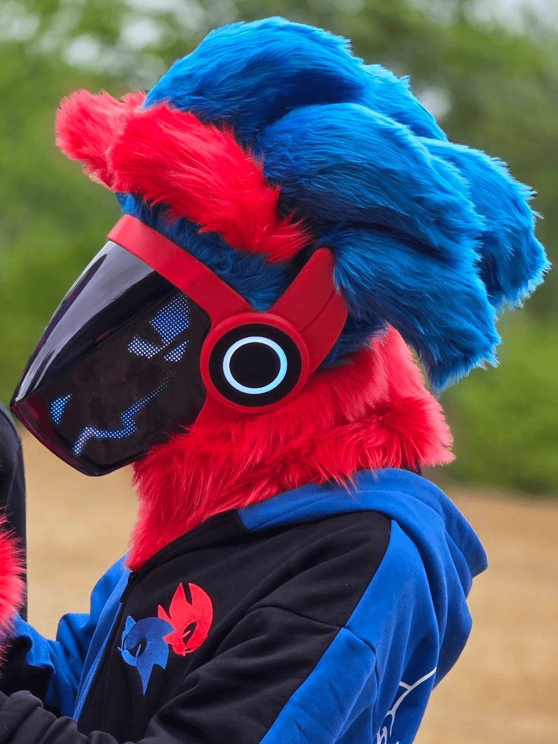 Blue canine fursuiter at an MK Critters meet